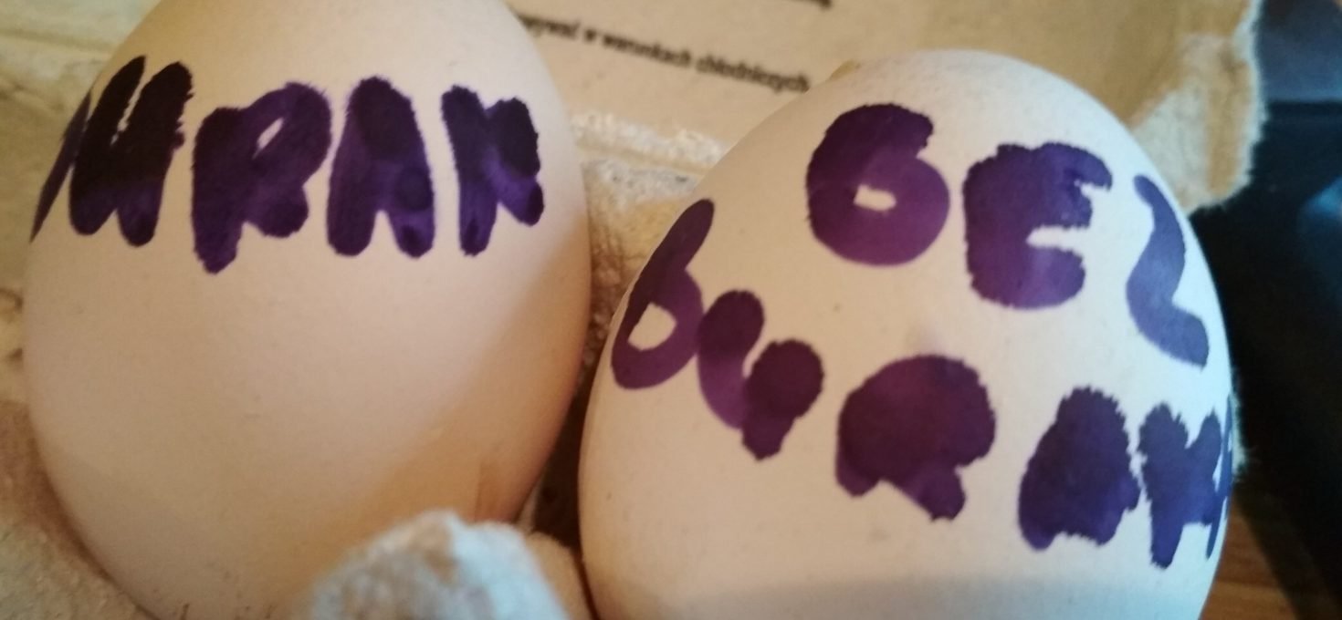 Tysięczne jajko i BURAK