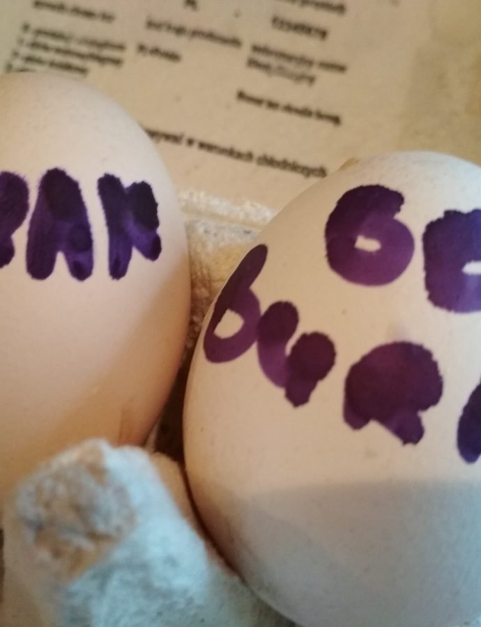 Tysięczne jajko i BURAK